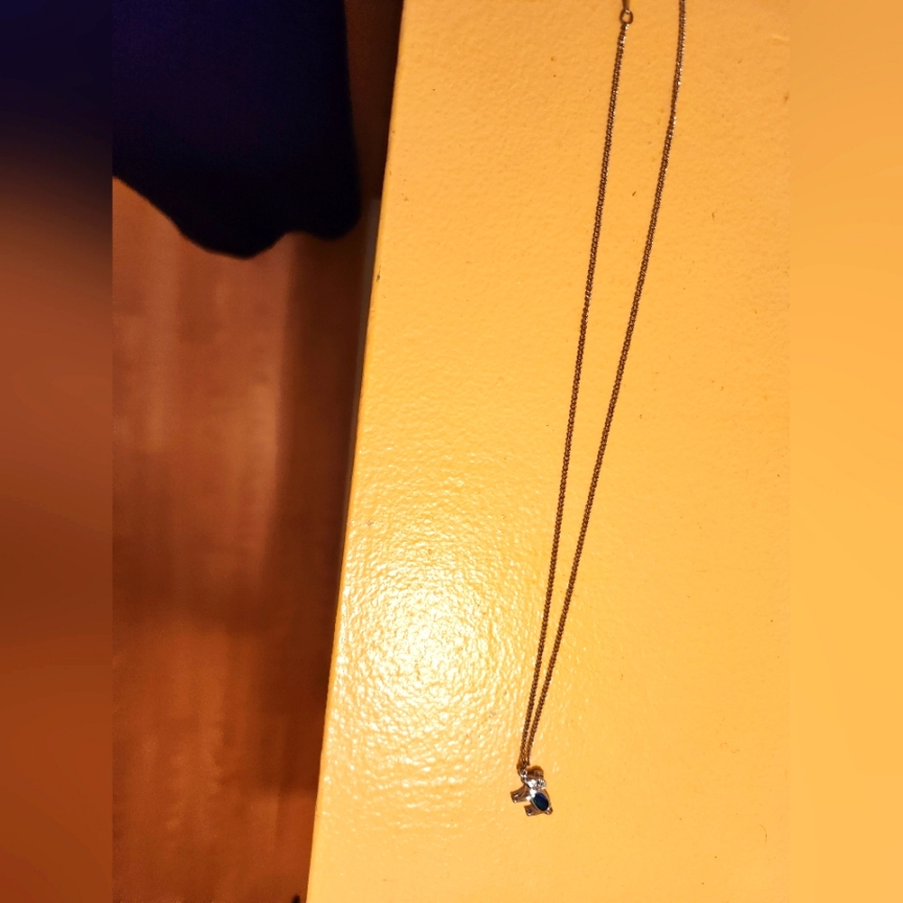Silver necklace with capricorn pendant with blue inset